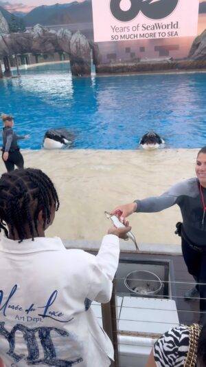 Soulja Boy Instagram - First rapper to shoot a 3 in a whales 🐳 mouth @seaworldsandiego