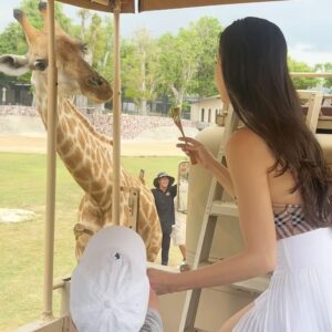 Sririta Jensen Instagram - Safari day🦒🦙🕊️

ริต้าปักหมุด📍ใครที่มามาเที่ยวหัวหินอย่าลืมแวะมาที่ HUA HIN SAFARI นะคะ เด็กๆชอบ ยีราฟกับอัลปาก้ามากค่ะ 😃