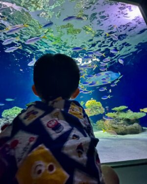 Stephanie Ho Instagram - Experiencing the world in the eyes of Asher!

It’s been 8 years since I’ve been in Fukuoka, the last time being a mother and daughter trip as well, but this time of course we have a little angel and jeh jeh with us💓 

A very different experience but definitely as much fun if not more to see the world through his eyes💓

Flight is delayed due to bad weather but I’m hoping to make it to tonight’s live @sports_rangers , the episode before the Olympic Games opens tomorrow!!! Wish me luckkkk!!!!!!!
