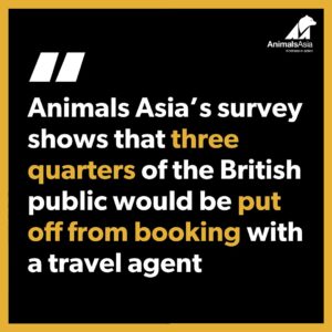 Stephen Fry Instagram - British actor Stephen Fry supports Animals Asia’s #TravelWithKindness campaign and is calling on the British government to ban cruel animal activities abroad.⁠
⁠
“Animals Asia’s survey showed that more than three-quarters of the British public would be put off from booking with a travel agent who sold tickets to tourist attractions where animals are mistreated. ⁠
⁠
The government now needs to properly implement the law passed last year to ensure that these overwhelming views of the public are taken into consideration and that such ticket sales would be prohibited. ⁠
⁠
So do join us in the campaign to make sure that this can happen.” ⁠
⁠
If you’re in the UK, please sign and share our petition: tap linkin.bio or go to⁠
www.animalsasia.org/endcrueltourism ⁠
⁠
@stephenfryactually #TravelWithKindness #EthicalTourism #AnimalsAsia #ResponsibleTravel #ConsciousTravel #Animals #WildlifeSelfies #ElephantRides #ElephantBathing #Travel #Traveling #Travelling #Backpacking #Safari #Circus #Zoo #AnimalWelfare⁠