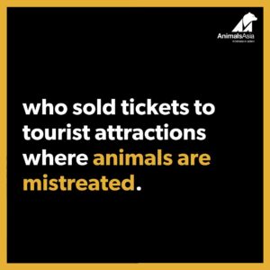 Stephen Fry Instagram - British actor Stephen Fry supports Animals Asia’s #TravelWithKindness campaign and is calling on the British government to ban cruel animal activities abroad.⁠
⁠
“Animals Asia’s survey showed that more than three-quarters of the British public would be put off from booking with a travel agent who sold tickets to tourist attractions where animals are mistreated. ⁠
⁠
The government now needs to properly implement the law passed last year to ensure that these overwhelming views of the public are taken into consideration and that such ticket sales would be prohibited. ⁠
⁠
So do join us in the campaign to make sure that this can happen.” ⁠
⁠
If you’re in the UK, please sign and share our petition: tap linkin.bio or go to⁠
www.animalsasia.org/endcrueltourism ⁠
⁠
@stephenfryactually #TravelWithKindness #EthicalTourism #AnimalsAsia #ResponsibleTravel #ConsciousTravel #Animals #WildlifeSelfies #ElephantRides #ElephantBathing #Travel #Traveling #Travelling #Backpacking #Safari #Circus #Zoo #AnimalWelfare⁠