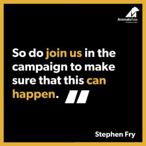 Stephen Fry Instagram - British actor Stephen Fry supports Animals Asia’s #TravelWithKindness campaign and is calling on the British government to ban cruel animal activities abroad.⁠
⁠
“Animals Asia’s survey showed that more than three-quarters of the British public would be put off from booking with a travel agent who sold tickets to tourist attractions where animals are mistreated. ⁠
⁠
The government now needs to properly implement the law passed last year to ensure that these overwhelming views of the public are taken into consideration and that such ticket sales would be prohibited. ⁠
⁠
So do join us in the campaign to make sure that this can happen.” ⁠
⁠
If you’re in the UK, please sign and share our petition: tap linkin.bio or go to⁠
www.animalsasia.org/endcrueltourism ⁠
⁠
@stephenfryactually #TravelWithKindness #EthicalTourism #AnimalsAsia #ResponsibleTravel #ConsciousTravel #Animals #WildlifeSelfies #ElephantRides #ElephantBathing #Travel #Traveling #Travelling #Backpacking #Safari #Circus #Zoo #AnimalWelfare⁠