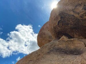 Steve Lund Instagram - Joshin around where the streets have no name. #Bono #TheEdge
#joshuatree @joshuatreenps 🏜
