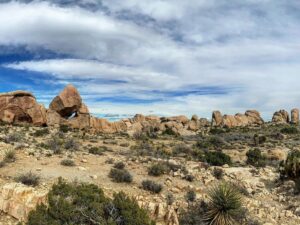 Steve Lund Instagram - Joshin around where the streets have no name. #Bono #TheEdge
#joshuatree @joshuatreenps 🏜
