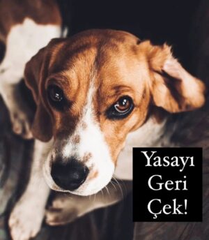 Süheyl Uygur Instagram - #yasayıgeriçek