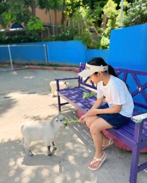 Supakson Chaimongkol Instagram - 🐫🦒🐇🐴🐓🦜🦩🌊🦀