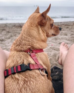Supremme de Luxe Instagram - Este mes de agosto voy a descansar bastante, quiero playa, sol, piscina y cenas con amigos. 

Pero quiero que sepáis que estoy trabajando también en música nueva y preparando el último examen de mi grado en septiembre. 

La próxima fecha en la que nos podemos ver es el 17 de agosto en el @prideaguilas… y en breve os confirmo otra fecha a finales de agosto.
