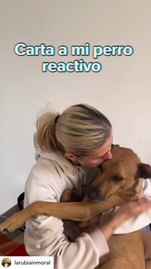 Suzette Bacó Instagram - A tod@s mis perrihij@s rescatados, los que se fueron 😔 y los que están….
PROMETO AMOR Y PAZ ♥️✌🏼

#adoptanocompres 
#rescata