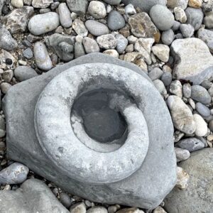 Sweet Anita Instagram - Lyme Regis is one of the best fossil beaches in the world. THESE WERE HUGE!! Sadly too big to take home with me 😭
