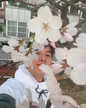 Tae-joo Na Instagram - 행복한 일요일🔥
벚꽃과 함께하세요🌸🌸🌸🌸🌸
#러닝 #아침 #벚꽃 #노한강뷰 #인생열차