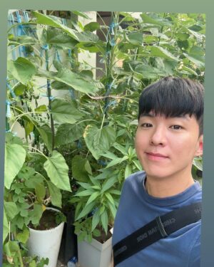 Tae-joo Na Instagram - 이것은 깻잎인가 하트인가
산책은 늘 옳다👍
#산책 #운동 #나태주 #인생열차 #살까요