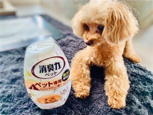 Takanori Nishikawa Instagram - What’s up, buddy?