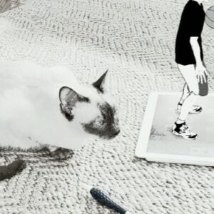 Takehiko Inoue Instagram - #talkintotherim2
#sdr
🐈‍⬛