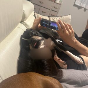 Tanakaga Instagram - 只今我が家では👶🏻が産まれたら出来ない事をしようプロジェクトを進行しておりまして、最近の週末は旦那と2人でホテルランチへ出掛けてるんですが、週替わりで順番に奢るシステムなので👶🏻の出てくるタイミング次第でどちらかが得をするんですけどこの調子でいくと私が勝ちそうです。

先週はブブビビも連れてお出かけしました🐶🐶
4人での生活も残り少し！楽しもう🫶🏻

あ、ちなみに2枚目のワインみたいなやつは白葡萄ジュースです🍇
私高い店のわざわざワイングラスに入れてくれる少量のくせに900円とかする高い葡萄ジュースめっちゃ好きやねん笑