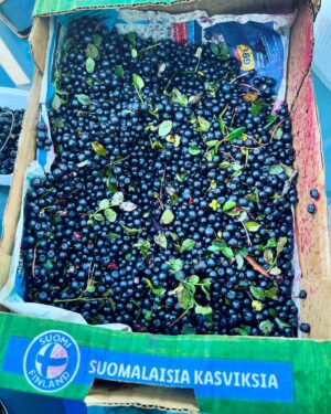 Tarja Turunen Instagram - Greetings from Puhos, Finland my birth place which was awarded as the village of the year 2024. The weather has been incredible during my stay here. You can see photos of my old school, blueberries and the beautiful nature. ♥️#puhos #finland