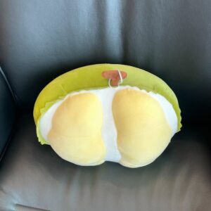 Taro Kono Instagram - ドリアンクッション。