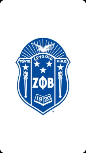 Tatyana Ali Instagram - I am a proud member of Zeta Phi Beta Sorority, Incorporated!!! 💙💙

My heart is so full, and I'm grateful and excited to continue the work with these INCREDIBLE women by my side!!

#ZPhiB #ZetaPhiBeta #FinerSince1920 #HonoraryMember 

@officialzeta1920