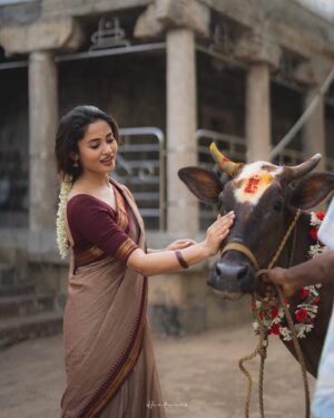 Teju Ashwini Instagram - Kanmani 🌺
.
Ft : @teju_ashwini 
Shotby : @_harikumar._ 
Styledby : @ishwaryaalaguvel 
Bts : @mickey__creations 
Costume : @niga_designers 
.
#tamil #kovil #temple #photoshoot #tamilactress