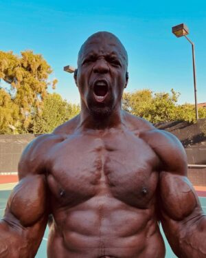 Terry Crews Instagram - #AGT LIVE show #1 TONIGHT!!! Watch on @nbc!