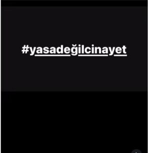 Tilbe Saran Instagram - Evet herkes biliyor bu #yasadeğilcinayet  Katliam yasasına onay verenler olarak tarihe derkenar olacaksınız!