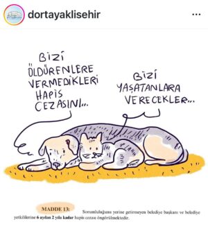 Tilbe Saran Instagram - Bir canlının hayatını kutsal addeder tüm inançlar siz kimsiniz?
