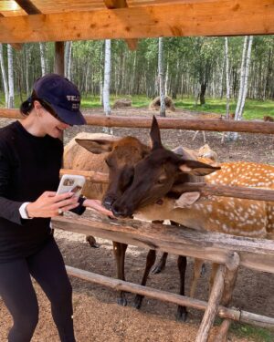 Tina Kandelaki Instagram - В России что ни путешествие, то открытие новых топовых мест. Сегодня в 30 километрах от Твери обнаружили сафари по-русски — оленью ферму @sudimir_oleni . Ничего лучше для развлечения с семьей и детьми я еще не встречала.

Это место создала влюбленная в свое дело Анна Овчаренко. Она не только хозяйка фермы и экскурсовод, но и основатель первого в России Музея Оленя. Если в «Игре престолов» была мать драконов, то Аня — по праву мать оленей, которых здесь больше 140! А еще черкесские козлики, баран, альпака, лама, куры, гуси, индоутки.

Оленей и оленят вы можете гладить, кормить и бесконечно снимать, потому что не влюбиться в них невозможно. Главная звезда «Судимира» — марал Виктор Сергеевич. Мы приехали, когда у него начали костенеть рога, которые он сбросит весной, и на их месте вырастут такие же красивые и величественные.

Если хотите подарить и себе, и детям настоящую сказку, то это место подойдет идеально 🦌