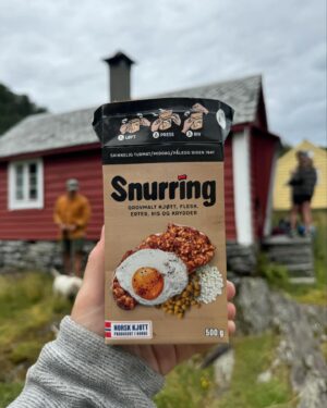 Tiril Sjåstad Christiansen Instagram - Tur til Grønnli, et sel bygget på 1800-tallet som hørte til gården der min gommo vokste opp 🛖 Masse gode minner med turer opp hit i barndommen. Blåbærplukking langs stian, froskejakt og snurring med speilegg og bacon på brødskive 🐸 Veldig koselig og kunne ta med ungene på tur inn hit og føre tradisjonene videre. Vega grilla også livets første marshmallow, noe som mildt sagt falt i smak!