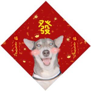 Toby Lee Instagram - 我與發發來拜年🐯祝大家新春快樂🧧愛老虎油❤️