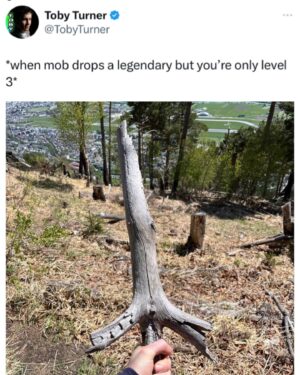 Toby Turner Instagram - LEGENDARY WOODEN STICK (level requirement: 17)