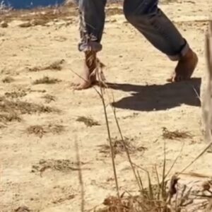 Tom Duquesnoy Instagram - L’Éden et Après 

du féminin dans l’âme

je vous dédie 
un poème de poèmes

à vos bruissements
le temps se dissout 
ces parfums de lèvres 
me caressent l’âme

mes émois à califourchon
aux courbes des corps

c’est parce que je vous aime 
que je vous poétise 

de vos seins 
je suis à-vide

transcendant les instances
d’un art combatif 

à la bruyante acclamation 
d’un publique ivre 
à l’intelligence brève

le coeur faisant tant d’efforts,
j’ai capitulé

plus de combat 
puis que d’Amour.
un ton unifié 
aux desseins de notre Âme.
