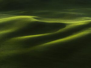 Tom Hegen Instagram - The Palouse Series

The rolling hills of the Palouse region, an area of the American northwest that spans over 3,000 miles. Endless green fields fill every inch of these frames. 

At a quick glance, the landscape looks likes the folds of moss-coloured fabric, but, on closer inspection, subtle whorls left by tractor trails reveal that humans have cultivated the land. The fertile soil is a result of ancient volcanic activity and erosion over thousands of years.