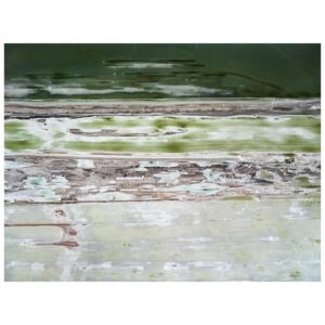 Tom Hegen Instagram - The Salt Series III, United States, 2021.
Green Edition