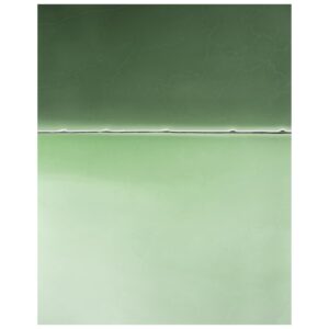 Tom Hegen Instagram - The Salt Series III, United States, 2021.
Green Edition