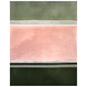 Tom Hegen Instagram - The Salt Series III, United States, 2021.
Green Edition