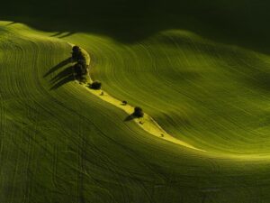 Tom Hegen Instagram - The Palouse Series featured in the current issue of @aestheticamag magazine.