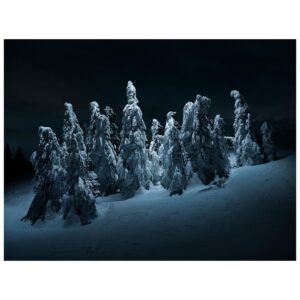 Tom Hegen Instagram - On this project, I worked with a flashlight mounted on a drone to illuminate the scene from above.

These trees are on top of a very exposed hill. During the winter season, they are completely covered in snow and ice. I wanted to show the mystic landscape in a unique light and experimented with a remote light source that was attached to a drone where I could take full control of the scene.