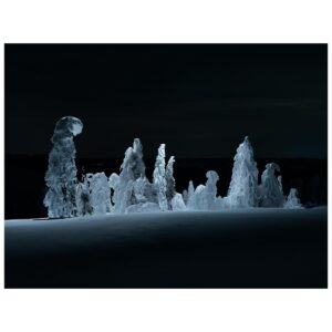 Tom Hegen Instagram - On this project, I worked with a flashlight mounted on a drone to illuminate the scene from above.

These trees are on top of a very exposed hill. During the winter season, they are completely covered in snow and ice. I wanted to show the mystic landscape in a unique light and experimented with a remote light source that was attached to a drone where I could take full control of the scene.