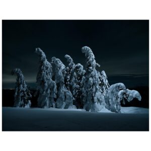 Tom Hegen Instagram - On this project, I worked with a flashlight mounted on a drone to illuminate the scene from above.

These trees are on top of a very exposed hill. During the winter season, they are completely covered in snow and ice. I wanted to show the mystic landscape in a unique light and experimented with a remote light source that was attached to a drone where I could take full control of the scene.