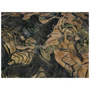 Tom Hegen Instagram - In this aerial series, I explore the stunning landscape of agricultural fields in central Spain. Over centuries, Spanish farmers transformed the landscape into a patchwork of abstract art. They adapted to the rugged topography by carving tracks, fields and plantations into the terrain.

Even though the soil is quite fertile, cultivating the fields is challenging due to increasingly low rainfall and extreme heat. For that reason, the fields are organized in terraces to prevent rainwater from flowing off. Some fields are still cultivated, while others have been abandoned due to excessive labour and low yields.

Seen from the air, the landscape resembles a subtle arrangement of blood cells, ordered into a patterned carpet covering the surface.

I’m interested in finding the most abstract forms of human-altered landscapes—places where the transition from photography to painterly images is fluid. However, farmers on the ground are the actual designers of the images, supposedly with an economic rather than an artistic intention. I see myself as the observer, curating their work into artworks with a subtle eye.