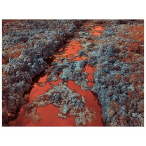 Tom Hegen Instagram - Last year, I travelled to Borneo to document the effects of illegal gold mining on the environment of this fragile ecosystem. For that project, I used color infrared photography to capture an extended range of wavelengths that clearly separates vegetation from other elements. 

In that way, the images reveal the impact of the mining operations in contrast to natural elements.