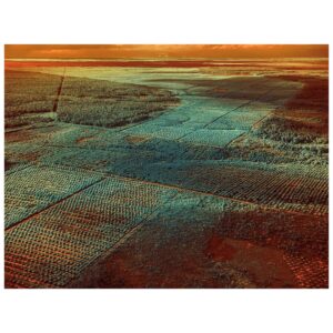 Tom Hegen Instagram - Today, I am releasing the second part of THE GOLD MINING SERIES and in a completely new approach!

Last year, I travelled to Borneo to document the effects of illegal gold mining on the environment of this fragile ecosystem. For that project, I used color infrared photography to capture an extended range of wavelengths that clearly separates vegetation from other elements. 

In that way, the images reveal the impact of the mining operations in contrast to natural elements.