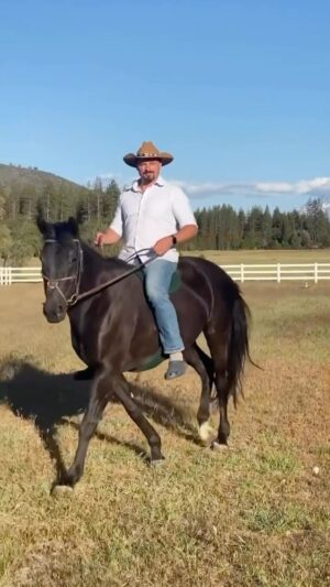 Tom Welling Instagram - At dawn we ride #crocs #socksandcrocs