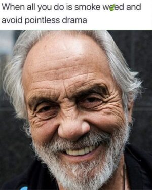 Tommy Chong Instagram - Not a bad way to be, man 💨 🌳