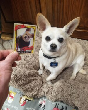 Tony Schiavone Instagram - The Bug and his trading card.