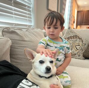Tony Schiavone Instagram - There is nothing like grandkids. But Bug would rather stay home