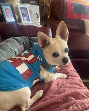 Tony Schiavone Instagram - Captain Ameribug