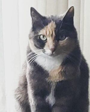 Tony Todd Instagram - #Caturday #charlieparker