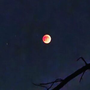 Tony Todd Instagram - #bloodmooneclipse eclipse ty @sterlingsounds