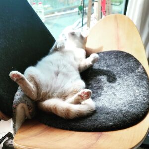 Tony Todd Instagram - #TheloniusMango chilling w happiness on ]Wonderful #Midweek