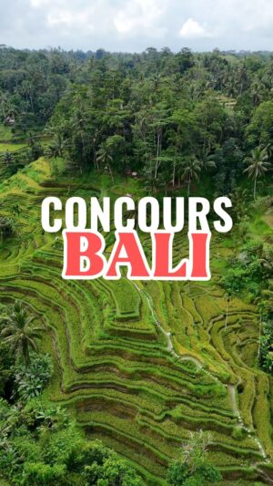 Tressia Bertin Instagram - CONCOURS : GAGNEZ DES VACANCES DE RÊVE À BALI POUR 2 PERSONNES 😍✨

Vous rêvez de passer des vacances inoubliables à Bali ? Voici votre chance de remporter ce séjour de 12 jours pour 2 personnes !

🎁 Gagnez un séjour de 12 jours à Bali dans un hôtel d’exception en plein cœur de Canggu @thesoulhousebali 

Pour participer, il suffit de :
☀️ Aimer et enregistrer la publication
☀️ Taguer en commentaire la personne avec qui vous aimeriez partir
☀️ Suivre les comptes Instagram suivants : @viensonpartloin_ @tressiab @thesoulhousebali @oceane.trips

🍀 Participation illimitée (1 commentaire = 1 participation), donc plus vous commentez, plus vous avez de chances de gagner.
🍀 Bonus : doublez vos chances en partageant cette publication en story et en me taguant.

💡 Le concours se termine le 16 août 2024 à 23h59 (heure de Bali) - le gagnant sera contacté en privé le lendemain.

*Le billet d’avion n’est pas inclus, l’hébergement est hors saison et dépend de la disponibilité.

Bonne chance à tous et préparez-vous pour une aventure incroyable à Bali !

#bali #besthotel #voyagedereve #balihotels #voyage #luxurytravel #canggu #vacation #travel